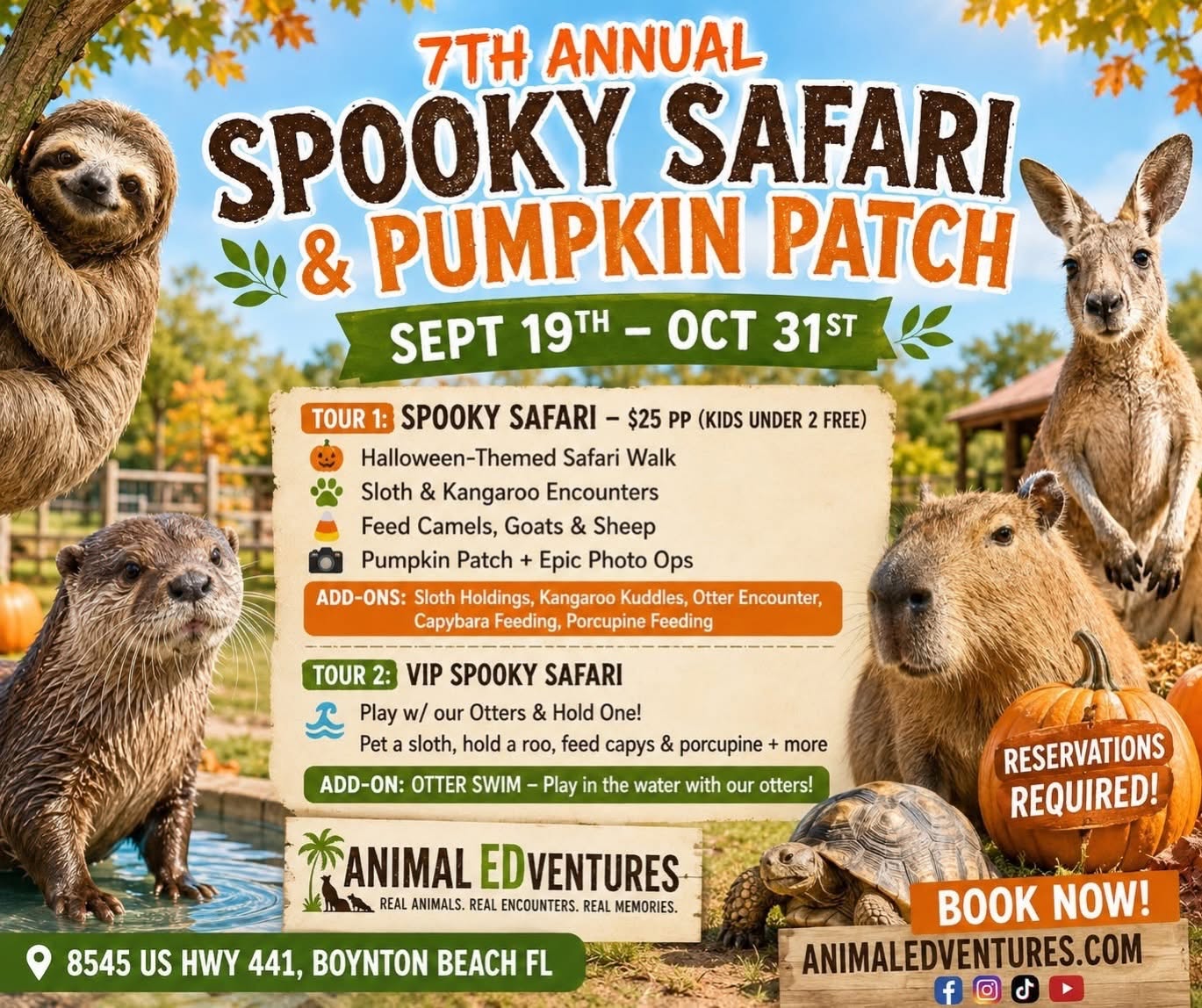 Spooky Safari & Pumpkin Patch Returns to Boynton Beach — And Yes, You Can Play With Otters — photo 1